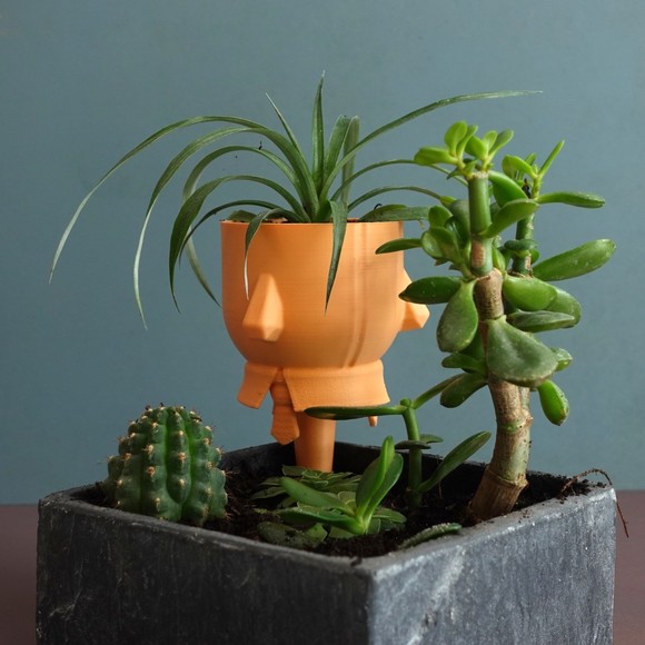 Gazzaladra Elevated Pot & Garden Planter Decor for Dinner Table, Party - Picture 1 of 10